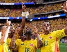 La Selección colombiana ha sido una grata sensación y se ilusiona con la obtención de su segundo título de Copa América. AP/K. Cox