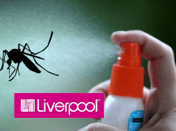 Muchos de estos productos están a mitad de precio. EFE / ARCHIVO