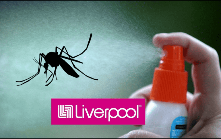 Muchos de estos productos están a mitad de precio. EFE / ARCHIVO