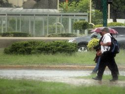 La perspectiva climática para julio no toma en cuenta los ciclones tropicales que pudieran pasar cerca del estado, ni las tormentas eléctricas locales severas como la del pasado 2 de julio. EL INFORMADOR / ARCHIVO