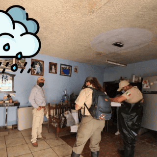 Profeco te dice dónde cuál es el mejor impermeabilizante