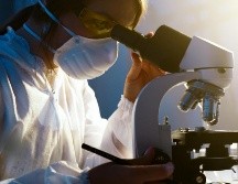 La OMS asegura que actualmente esta enfermedad puede tratarse fácilmente con antibióticos. ESPECIAL / PEXELS / A. Podrez