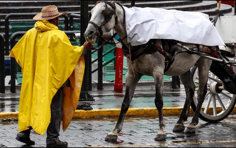 El Servicio Meteorológico Nacional emitió una alerta por lluvias puntuales intensas en Jalisco y otros seis estados de la República. EL INFORMADOR / ARCHIVO