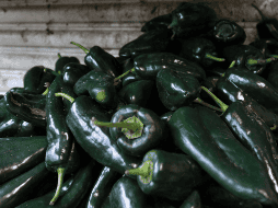 El chile poblano también es una excelente fuente de fibra, tanto soluble como insoluble. EL INFORMADOR / ARCHIVO