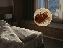 Un tip básico es mantener las habitaciones limpias y ordenadas. ESPECIAL