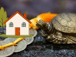 En el Feng Shui, se recomienda comenzar por las áreas más importantes como el dormitorio y la sala de estar, ya que son lugares donde pasamos más tiempo y donde la energía debe estar más equilibrada. CANVA