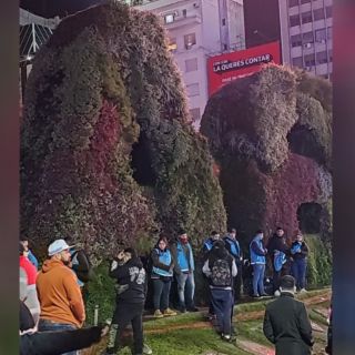 Muere un hincha en Buenos Aires en plena concentración por la final de la Copa América
