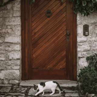 ¿Cuáles son las razones para hacer paredes de piedras en tu hogar?