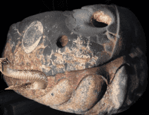 El culto por esta especie, viene desde muchos años atrás, desde tiempos ancestrales para las culturas prehispánicas. Gobierno de México/ www.gob.mx/ ESPECIAL