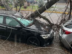 El temporal de este año ha provocado daños tanto materiales como humanos, pero existen herramientas informativas públicas y gratuitas que te ayudarán a prevenir accidentes y reducir riesgos. CORTESÍA/Tráfico ZMG