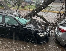 El temporal de este año ha provocado daños tanto materiales como humanos, pero existen herramientas informativas públicas y gratuitas que te ayudarán a prevenir accidentes y reducir riesgos. CORTESÍA/Tráfico ZMG