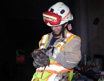 La dueña del cachorro, de nombre Consuelo, dijo que escuchó a lo lejos el llanto del perrito, por lo que tuvo que dar parte al 911 para poder lograr la rápida extracción del animal. ESPECIAL / PROTECCIÓN CIVIL Y BOMBEROS ZAPOPAN