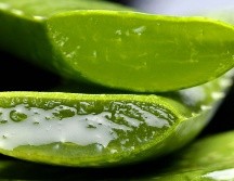 La sábila, o aloe vera, y el aceite de oliva son conocidas por sus numerosas propiedades beneficiosas para la piel. Canva.