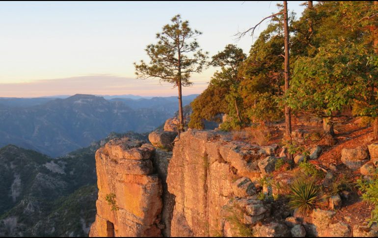 Este tesoro natural ha mantenido su encanto gracias a la dificultad de acceso. UNSPLASH / S. DEMPSEY