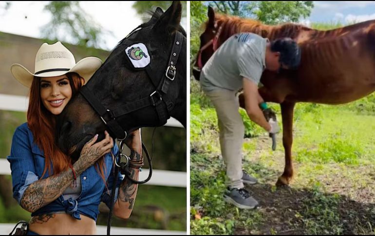 Para continuar con su misión, Cuacolandia depende de donaciones voluntarias. ESPECIAL / SUN