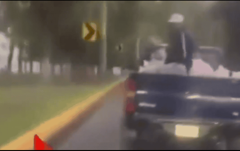 Los gatos fueron arrojados al camellón de la Avenida Constitución, a la altura del parque Lago Espejo de los Lirios. ESPECIAL.