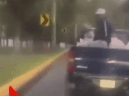 Los gatos fueron arrojados al camellón de la Avenida Constitución, a la altura del parque Lago Espejo de los Lirios. ESPECIAL.