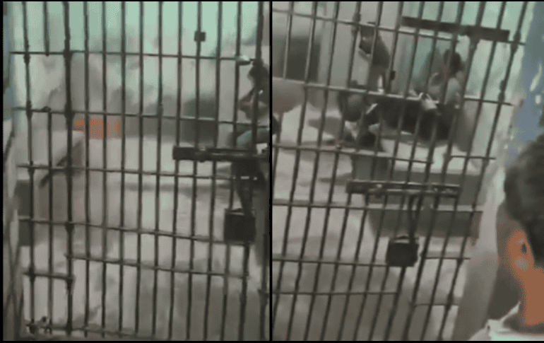 También se ha dado a conocer que otros miembros del cabildo municipal fueron encarcelados. ESPECIAL.