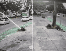 El poste cayó sin motivo aparente. EL INFORMADOR.