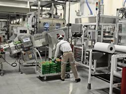 El IGAE y sus componentes se dan a conocer aproximadamente 8 semanas después de terminado el mes de referencia. SUN / ARCHIVO