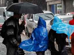Jalisco espera lluvias fuertes con puntuales muy fuertes este viernes. SUN / ARCHIVO