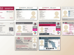 Cualquiera que cuente con esta tarjeta puede gozar de este beneficio en los diferentes Estados de la República. ESPECIAL / gob.mx