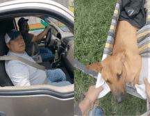 Este buen hombre se convirtió en el héroe del día para estos jóvenes al llevarlos a una clínica para atender a su mascota. TIKTOK/ historias.de.calles