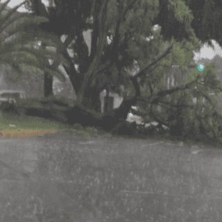 Lluvia ocasiona caos e inundaciones en la ZMG