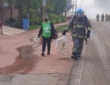 Elementos de la Unidad Estatal de Protección Civil y Bomberos de Jalisco fueron quienes apoyaron en la evacuación y el posterior retorno de las y los habitantes. ESPECIAL/X/@PCJalisco.