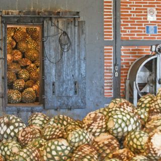 Tequila, el orgullo de México