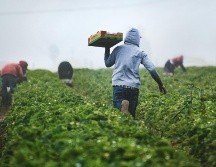 Se realizaron planes para enfrentar los retos del cambio climático. UNSPLASH / T. MOSSHOLDER