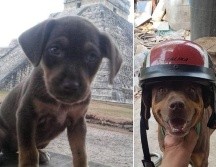 Duke era parte de los 