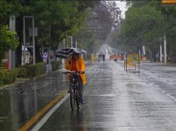 Este fenómeno no tiene una fecha predecible de inicio y no necesariamente coincide con la época más calurosa del año. EL INFORMADOR/ ARCHIVO.