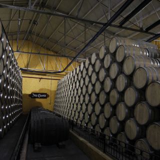 ¿Cuál es la compañía tequilera más antigua de México?