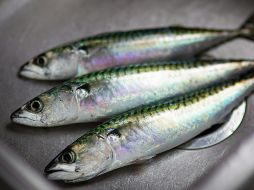 Es rico en fósforo, proteínas, niacina, selenio y vitaminas D, B6 y B12.  UNSPLASH / B. WICKS