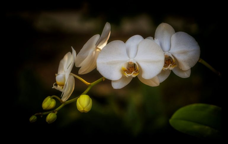 Photo by Jorge Coromina by Unsplash