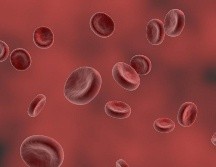 La variedad de este alimento en rico en proteínas, ácidos grasos omega-3, yodo, calcio, fósforo, potasio, selenio, vitamina A, niacina y hierro. PIXABAY/ Crystal_Blair