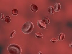 La variedad de este alimento en rico en proteínas, ácidos grasos omega-3, yodo, calcio, fósforo, potasio, selenio, vitamina A, niacina y hierro. PIXABAY/ Crystal_Blair