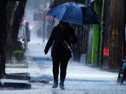 Las temperaturas serán agradablemente templadas. SUN / ARCHIVO