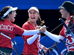 El representativo nacional doblegó a los Países Bajos por 2-6 en un partido que se fue hasta los cuatro sets. AFP