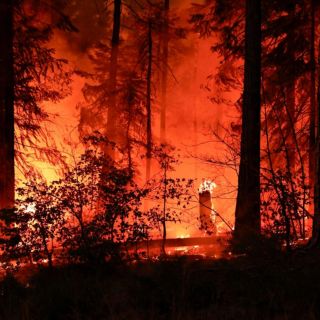 California y Canadá luchan contra incendios forestales sin control