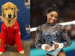 Beacon ha tenido tareas muy importantes, entre las que se encuentran proporcionar consuelo y relajación a las gimnastas en momentos de estrés. ESPECIAL. EPA/ A. SZILAGYI.