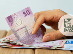 El dinero extra que recibirán se usará para cubrir el retroactivo requerido y así alcanzar los 16 mil 777.68 pesos correspondientes al pago de la pensión. ESPECIAL