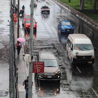 Hoy No Circula martes 30 de julio 2024: Autos que descansan en CDMX y Edomex