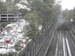 Cayó un árbol en las vías del STC metro, en la Línea 5. SUN / F. Rodríguez 