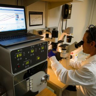 ¿Cómo se reconocen y reparan los daños en el ADN por el alcohol o la contaminación?