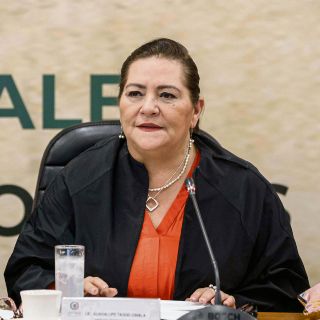 Plurinominales se asignarán como dice la ley: Taddei