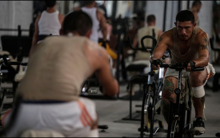 mejorar nuestra condición física no es una cuestión meramente de estética, sino de salud en general. EL INFORMADOR / ARCHIVO