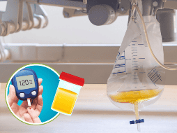 La diabetes insípida es un trastorno que afecta el equilibrio de fluidos en el cuerpo y puede tener un impacto significativo en la calidad de vida si no se maneja adecuadamente. CANVA