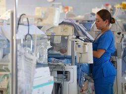 Con la invitación hecha por la institución se busca aprovechar la leche que van a producir para beneficiar a otros niños y honrar la memoria del que falleció. EFE/ Francisco Guasco